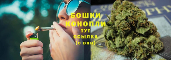 соль ск Нея
