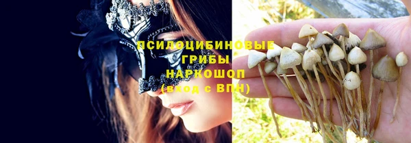 соль ск Нея