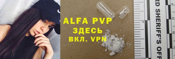 хмурый Новозыбков