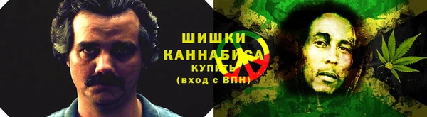 соль ск Нея