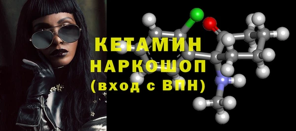 хмурый Новозыбков