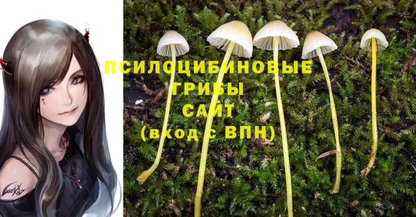 соль ск Нея