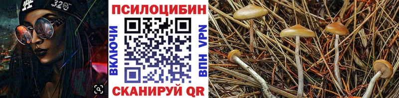 Галлюциногенные грибы ЛСД Игарка